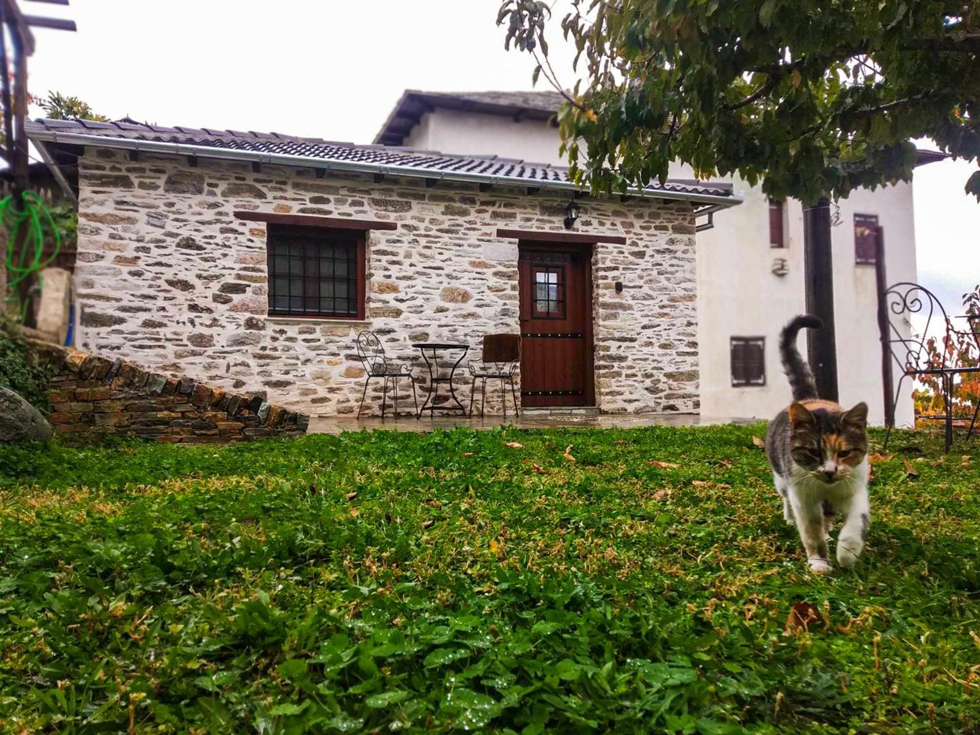 San Lorenzo Cottage - Παραδοσιακά Πέτρινα Δωμάτια Agios Lavrentios 外观 照片
